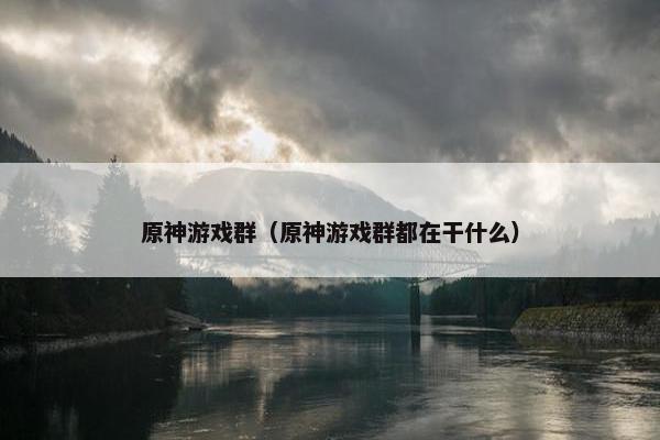 原神游戏群（原神游戏群都在干什么）