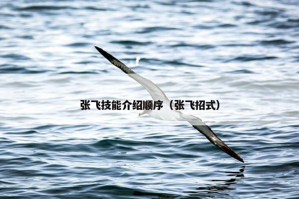 张飞技能介绍顺序（张飞招式）