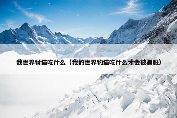 我世界豺猫吃什么（我的世界豹猫吃什么才会被驯服）