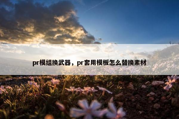 pr模组换武器，pr套用模板怎么替换素材