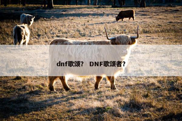 dnf歌颂？ DNF歌颂者？
