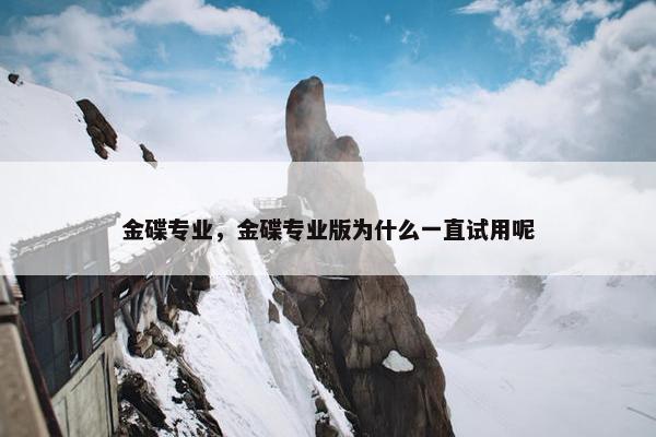 金碟专业，金碟专业版为什么一直试用呢