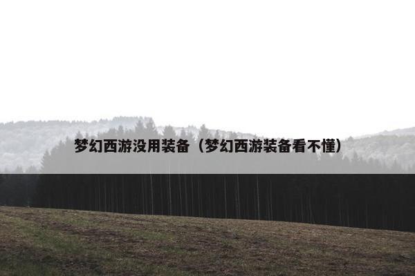 梦幻西游没用装备（梦幻西游装备看不懂）