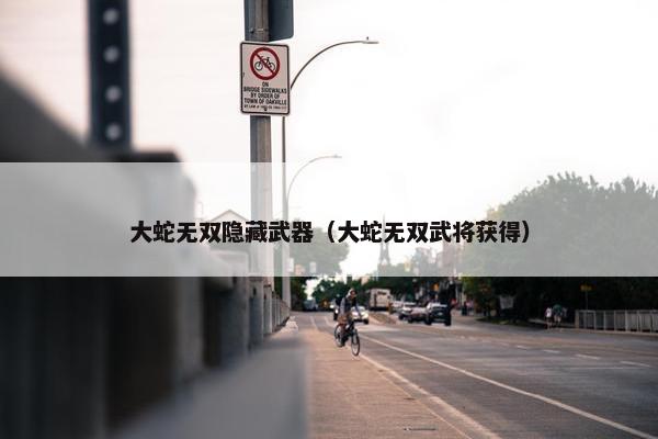 大蛇无双隐藏武器（大蛇无双武将获得）