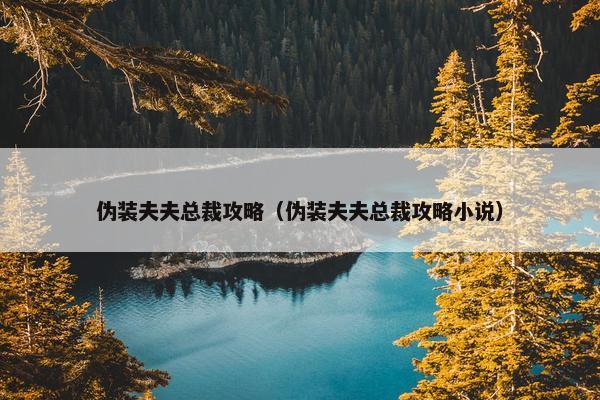 伪装夫夫总裁攻略（伪装夫夫总裁攻略小说）