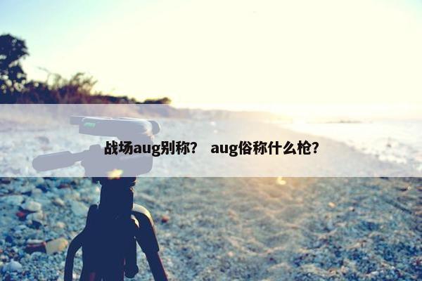 战场aug别称？ aug俗称什么枪？