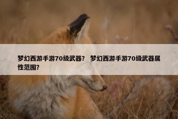 梦幻西游手游70级武器？ 梦幻西游手游70级武器属性范围？