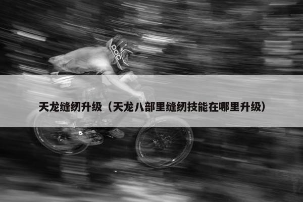 天龙缝纫升级（天龙八部里缝纫技能在哪里升级）