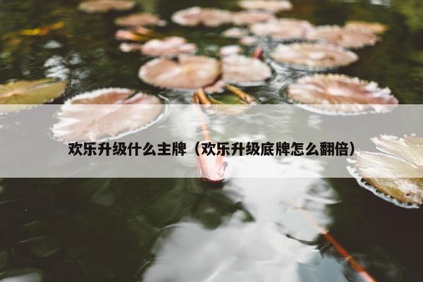 欢乐升级什么主牌（欢乐升级底牌怎么翻倍）