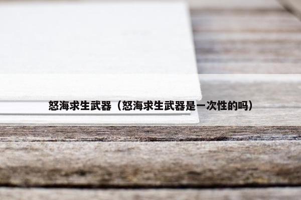 怒海求生武器（怒海求生武器是一次性的吗）