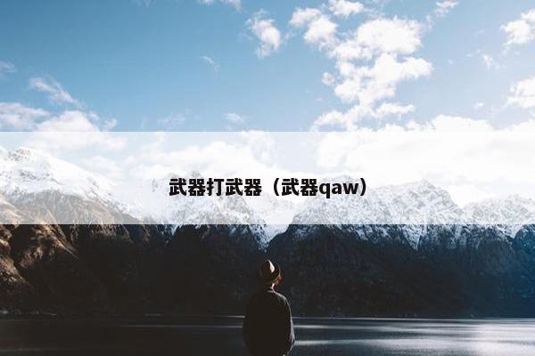 武器打武器（武器qaw）