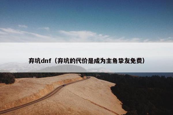 弃坑dnf（弃坑的代价是成为主角挚友免费）