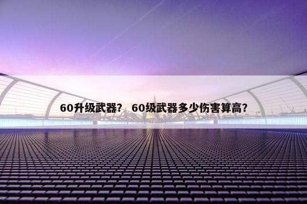 60升级武器？ 60级武器多少伤害算高？
