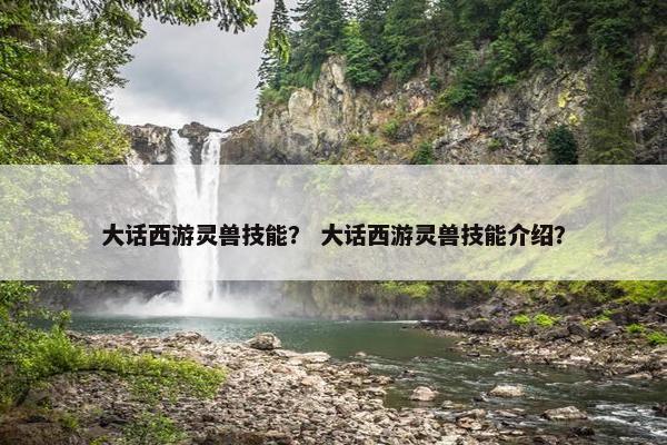 大话西游灵兽技能？ 大话西游灵兽技能介绍？
