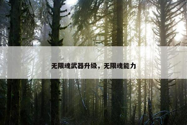 无限魂武器升级，无限魂能力