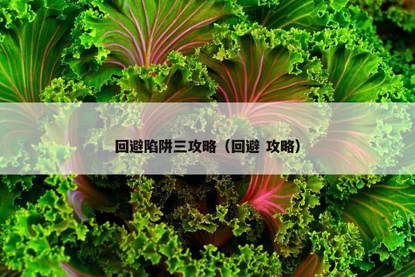 回避陷阱三攻略（回避 攻略）