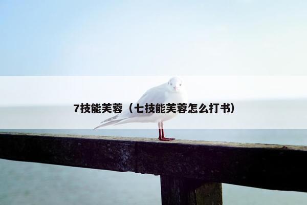 7技能芙蓉（七技能芙蓉怎么打书）