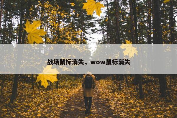 战场鼠标消失，wow鼠标消失