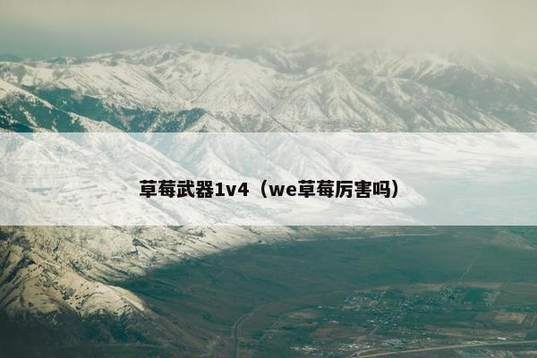 草莓武器1v4（we草莓厉害吗）