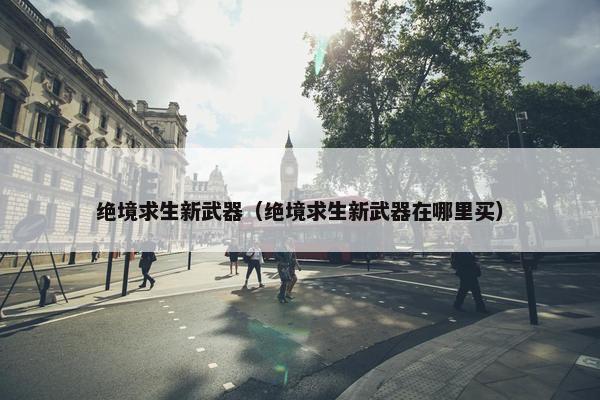 绝境求生新武器（绝境求生新武器在哪里买）