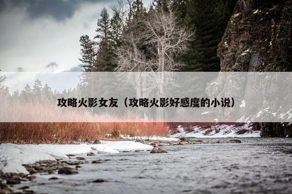 攻略火影女友（攻略火影好感度的小说）