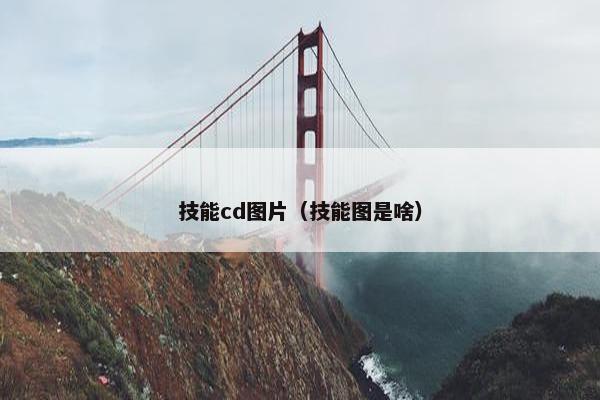 技能cd图片（技能图是啥）