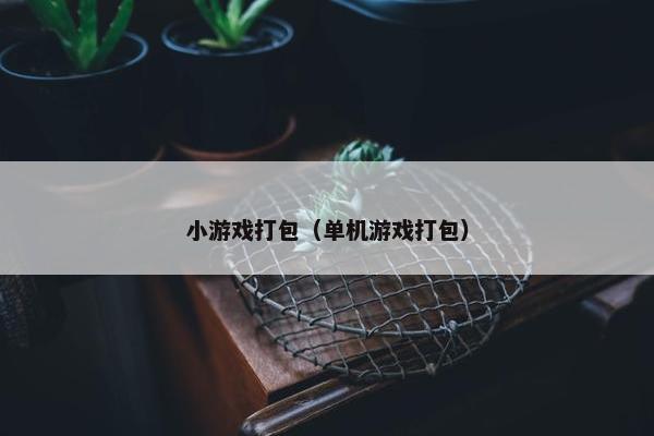 小游戏打包（单机游戏打包）