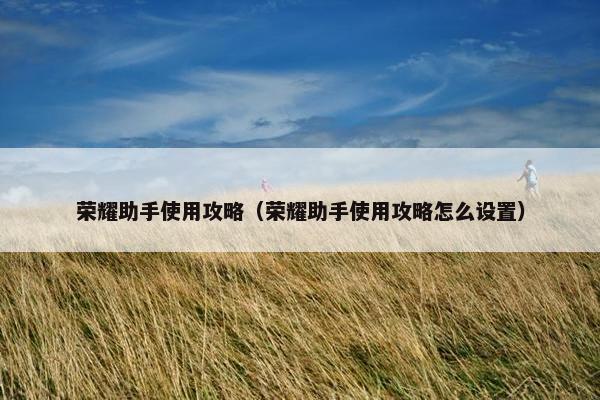 荣耀助手使用攻略（荣耀助手使用攻略怎么设置）