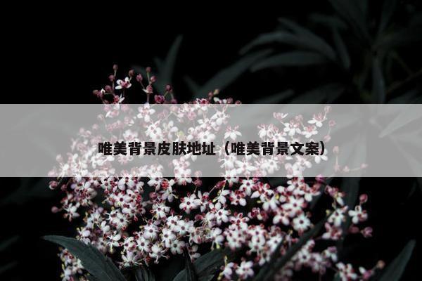 唯美背景皮肤地址（唯美背景文案）