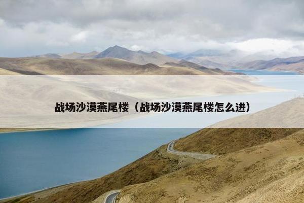 战场沙漠燕尾楼（战场沙漠燕尾楼怎么进）