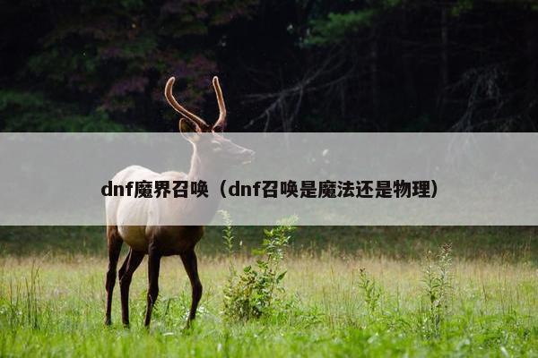 dnf魔界召唤（dnf召唤是魔法还是物理）