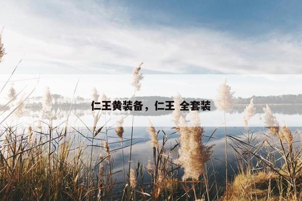 仁王黄装备，仁王 全套装