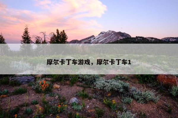 摩尔卡丁车游戏，摩尔卡丁车1