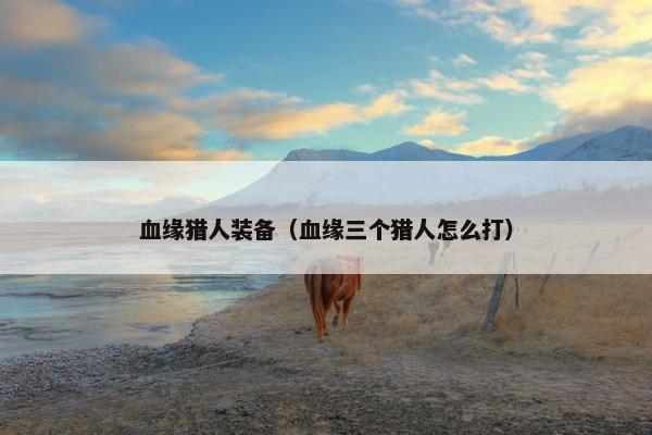 血缘猎人装备（血缘三个猎人怎么打）