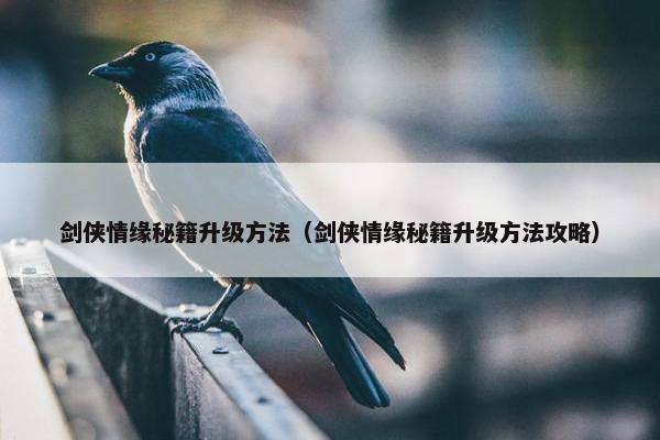 剑侠情缘秘籍升级方法（剑侠情缘秘籍升级方法攻略）