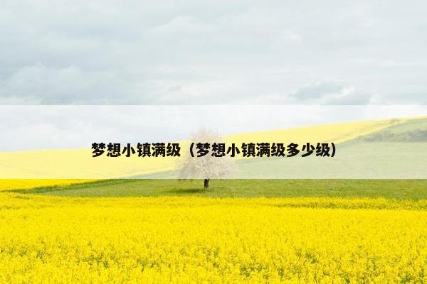 梦想小镇满级（梦想小镇满级多少级）