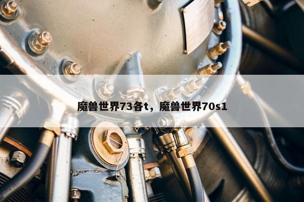 魔兽世界73各t，魔兽世界70s1