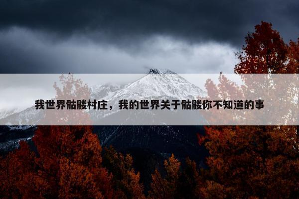 我世界骷髅村庄，我的世界关于骷髅你不知道的事