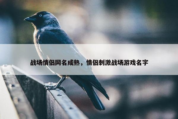 战场情侣网名成熟，情侣刺激战场游戏名字
