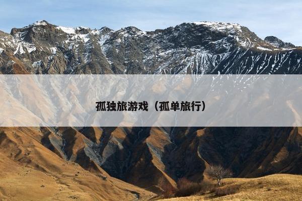 孤独旅游戏（孤单旅行）