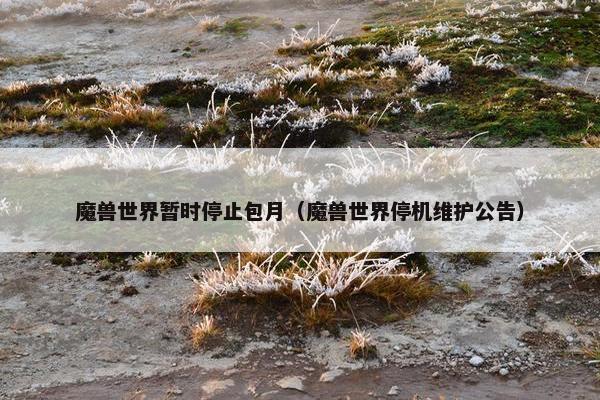 魔兽世界暂时停止包月（魔兽世界停机维护公告）