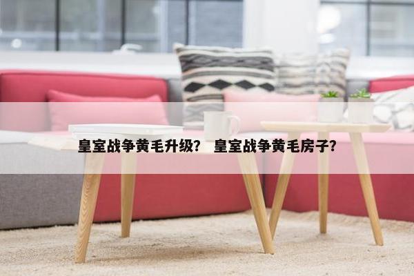 皇室战争黄毛升级？ 皇室战争黄毛房子？
