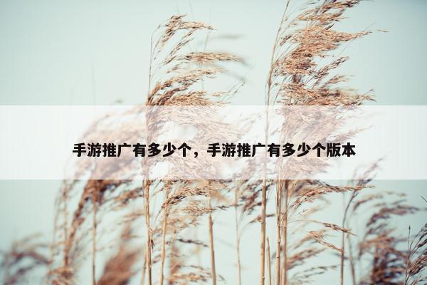 手游推广有多少个，手游推广有多少个版本