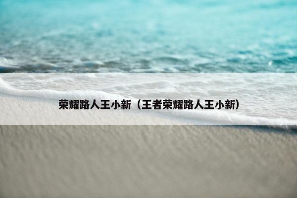 荣耀路人王小新（王者荣耀路人王小新）