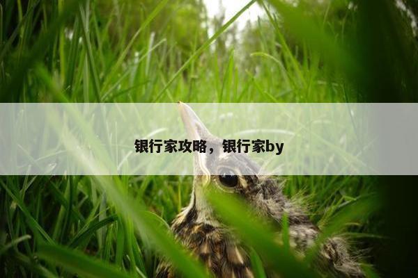 银行家攻略，银行家by