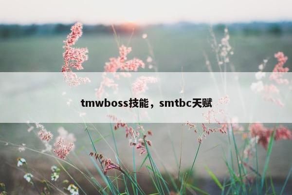tmwboss技能，smtbc天赋