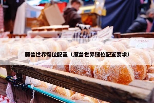 魔兽世界键位配置（魔兽世界键位配置要求）