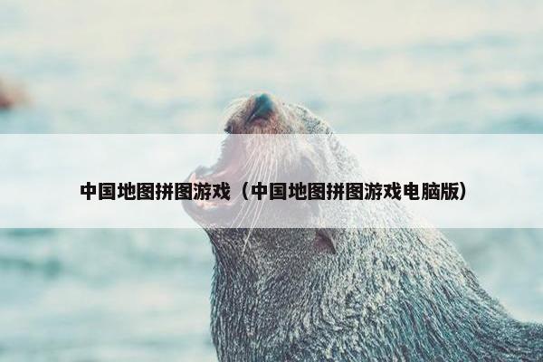 中国地图拼图游戏（中国地图拼图游戏电脑版）