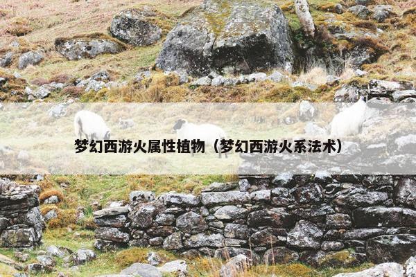 梦幻西游火属性植物（梦幻西游火系法术）