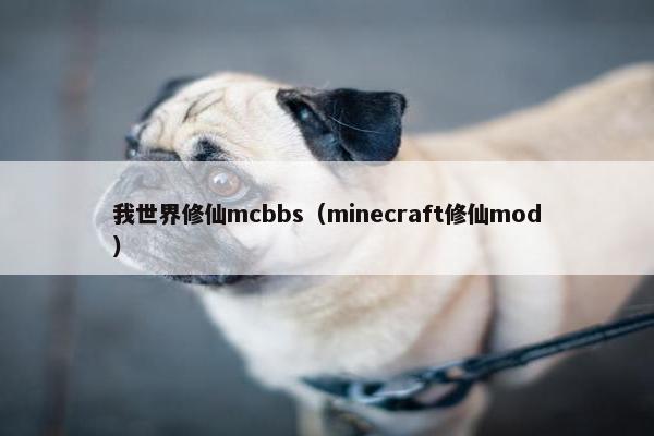 我世界修仙mcbbs（minecraft修仙mod）